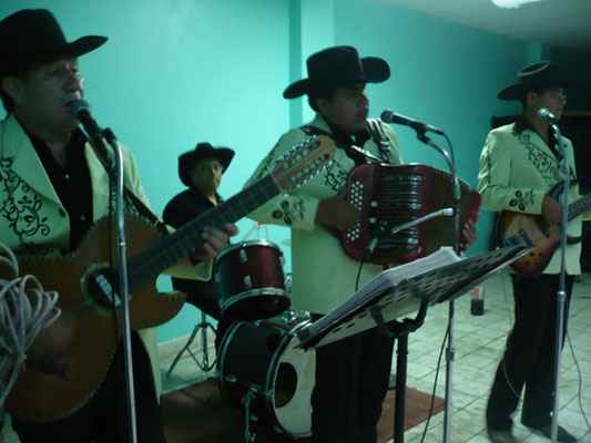 img/elfiestonlogo.png